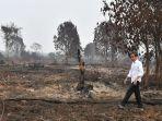 presiden-saat-meninjau-lokasi-karhutla-di-desa-merbau-kecamatan-bunut-kabupaten-pelalawan.jpg