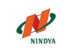 pt-nindya-karya-persero.jpg