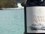 puente-austral-wine.jpg