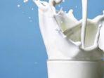Susu Ikan Disebut Jadi Alternatif Pengganti Susu Sapi, Mungkinkah? Ini Kata Pakar