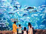sea-world-ancol-2.jpg