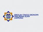 sekolah-tinggi-ekonomi-dan-bisnis-islam-lampung-logo.jpg