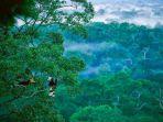 taman-nasional-gunung-palung-kalbar.jpg