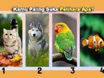 tes-kepribadian-burung-ikan-kucing-atau-anjing.jpg