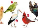 tes-kepribadian-gambar-burung.jpg