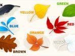 tes-kepribadian-gambar-daun-gugur.jpg