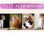 tes-kepribadian-mana-kucing-yang-ingin-kamu-pelihara.jpg