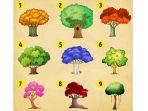 tes-kepribadian-pohon-warna.jpg