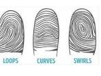 tes-kepribadian-ungkap-sisi-rahasia-seseorang-lewat-pola-sidik-jarinya-yang-mana-milikmu.jpg