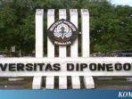 universitas-diponegoro-semarang.jpg