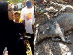 viral-ibu-ibu-tuduh-adanya-pesugihan-babi-ngepet.jpg