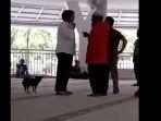 viral-video-seorang-wanita-paruh-baya-membawa-seekor-anjing-ke-dalam-masjid.jpg