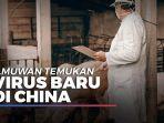 virus-baru-flu-babi-di-china.jpg