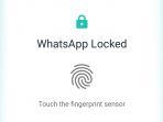 whatsapp-fingerprint.jpg