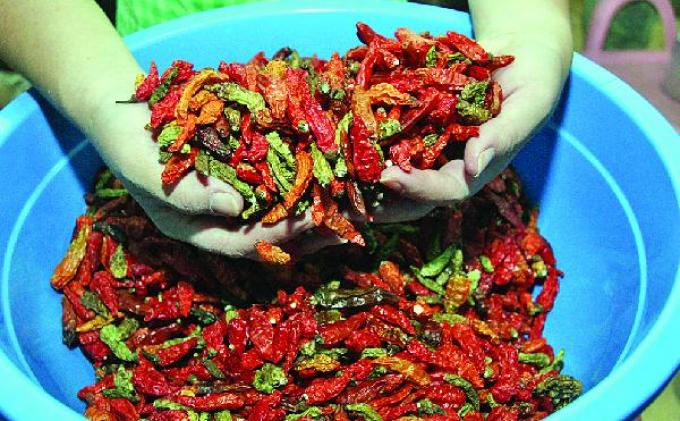 Cabai Bisa Kurangi Sakit Perut