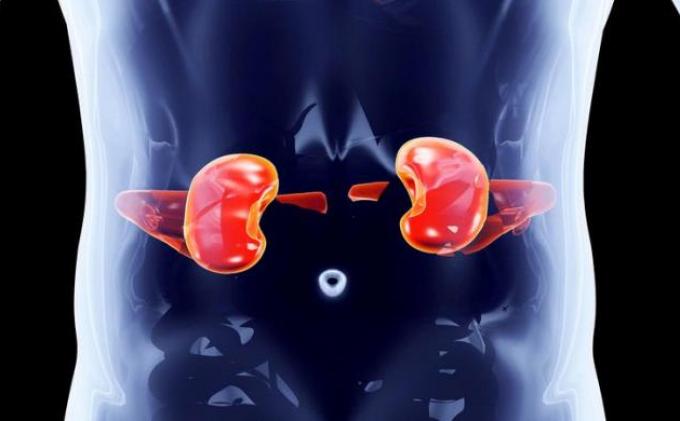 Dinkes Karawang Minta Orangtua Perhatikan Volume Urine Anak Usai Minum Obat Sirup