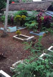 Mereka yang Menunggu Rani di Makam Keluarga