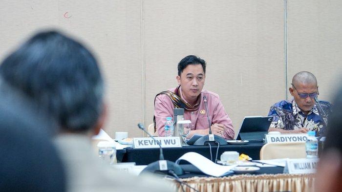 BPBD dan Distamahut DKI Jakarta Diminta Mitigasi Pohon Tumbang Selama Musim Hujan