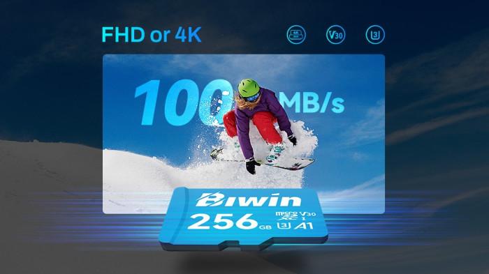 Biwin MS100 microSD Card