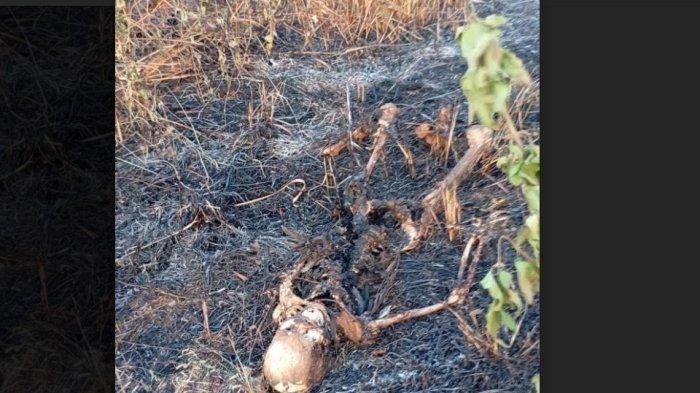 Diduga Kerangka Manusia Ditemukan di Lahan Kosong di Tambun Selatan Bekasi, Polisi Selidiki