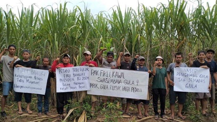 Ketika Petani Tebu Menaruh Harapan kepada Firli Bahuri untuk Menumpas Para Mafia Impor Gula