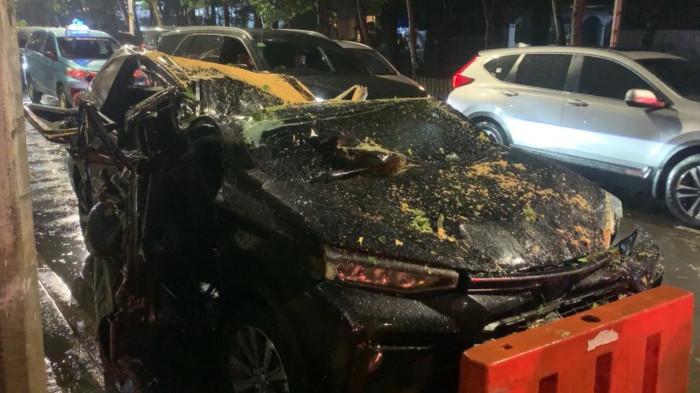 Polisi Usut Pohon Tumbang yang Tewaskan Pengendara di Dharmawangsa Jaksel