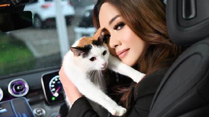 Lirabica bersama kucing