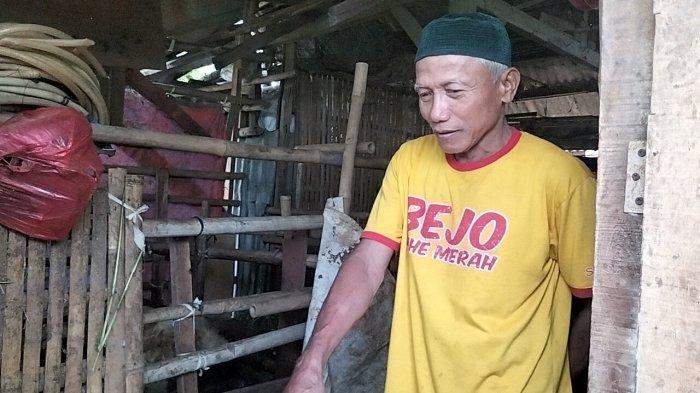 Kisah Sedih Kakek di Depok, Kambingnya yang Bakal Melahirkan Hilang dalam Semalam