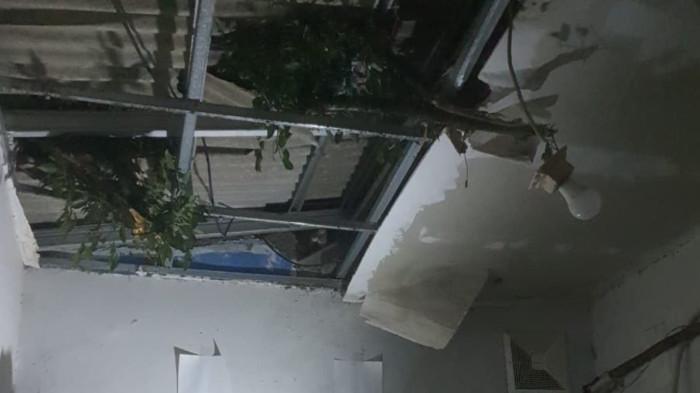 Pohon Keramat yang Jadi Sarang Ular Tumbang Akibat Hujan di Bojonggede Bogor, Satu Rumah Warga Rusak