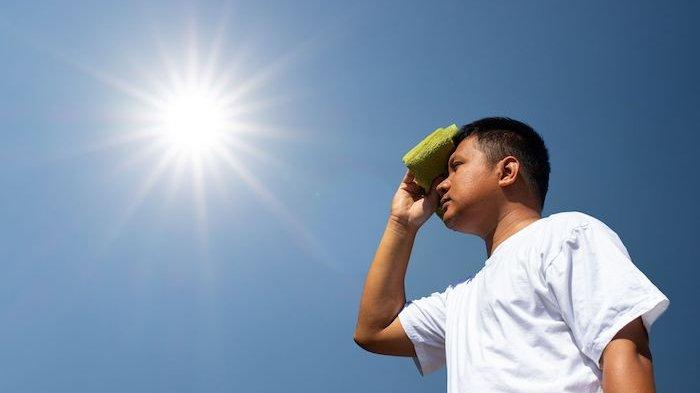 Prakiraan Cuaca Jakarta dan Kepulauan Seribu Sabtu 20 Juli Cerah Sepanjang Hari