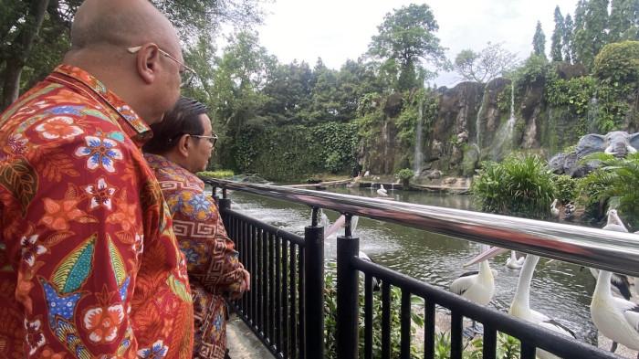 TINJAU TMR - Gubernur DKI Jakarta, Pramono Anung meninjau Taman Margasatwa Ragunan , Jakarta Selatan, Kamis (14/8/2025). Foto: Yolanda Putri Dewanti