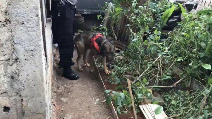Polisi Belum Temukan Indikasi Korban Lain di Lokasi Pembunuhan Bocah Perempuan di Bekasi