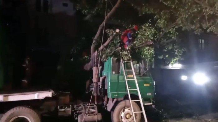 Truk Kontainer Hantam Pohon di Rawamangun Jaktim, Sopir Fokus Lihat Google Maps