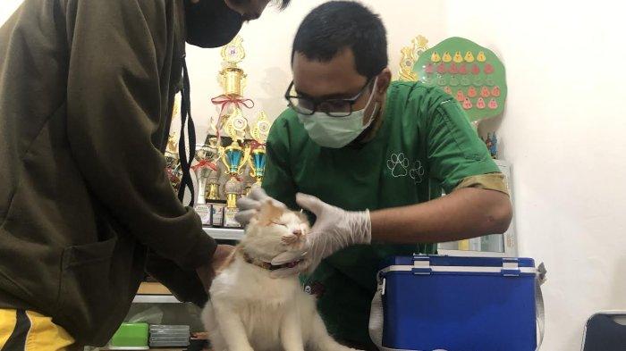 Antisipasi Rabies, Sudin KPKP Jakarta Timur Vaksinasi 41 Hewan Penular Rabies