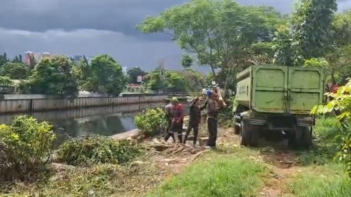 POHON DITEBANG - Suku Dinas Pertamanan dan Hutan Kota Jakarta Barat menebang pohon yang rimbung setelah menerima laporan warga terkait dugaan prostitusi sesama jenis di Taman Daan Mogot, Cengkareng, Jakarta Barat, Jumat (14/11/2025).