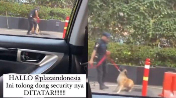 Satpamnya Viral Aniaya Fay, Panji Pragiwaksono Luna Maya hingga Robby Purba Roasting Plaza Indonesia