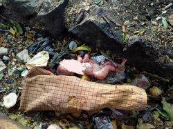 Warga Pamulang Heboh Temukan Mayat Bayi di Tumpukan Sampah