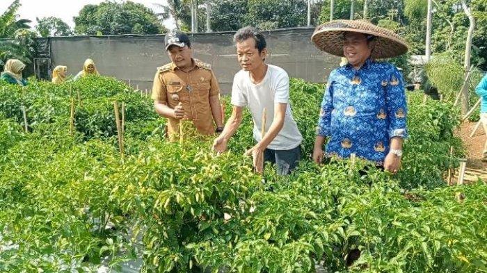 Camat Pondok Aren Mobilisasi ASN Beli Hasil Panen Petani, Hendra: Untuk Buka Pasar