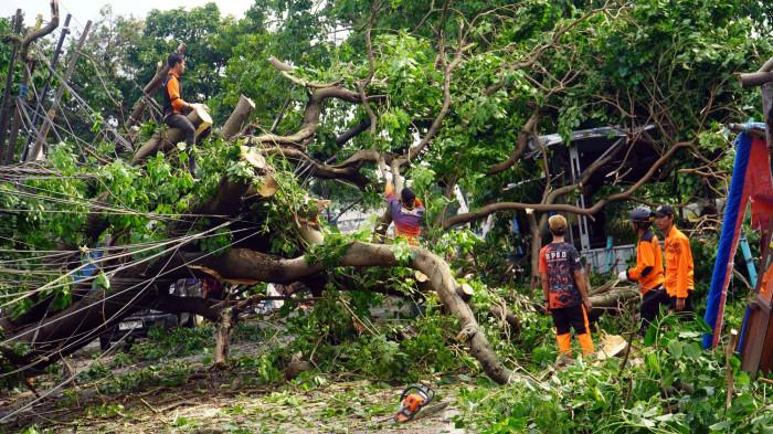 2 Pohon Tumbang di Jalan Dharmawangsa Kebayoran Baru Jakarta Selatan Menimpa 4 Mobil dan 1 Motor