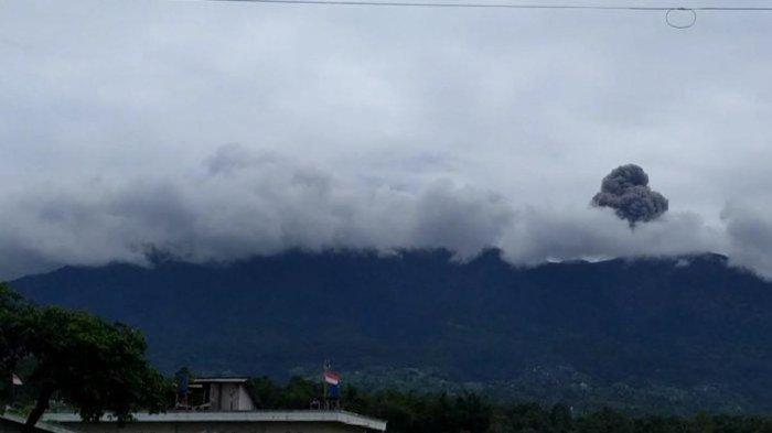 Gunung Marapi Erupsi, Hewan Liar Tampak Keluar dari Hutan Menghindari Abu Vulkanik