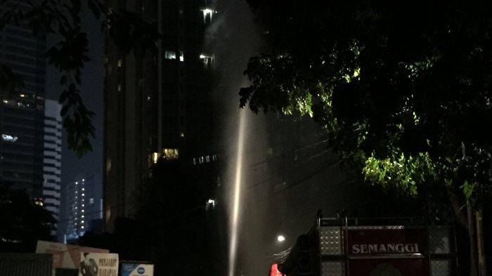 Sarang Tawon Berdiameter 15 cm Dievakuasi dari Homestay di Pulau Pramuka