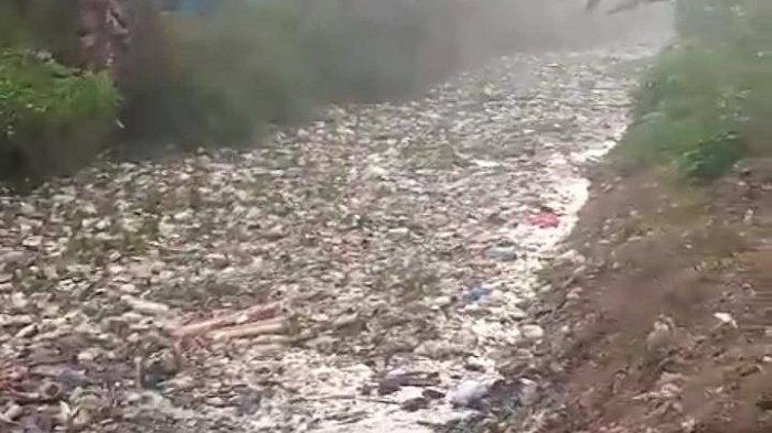 Petani Sukawangi Geram Kali Srengseng Hilir Kirim Sampah: Pj Bupati Bekasi Harus Turun Tangan!