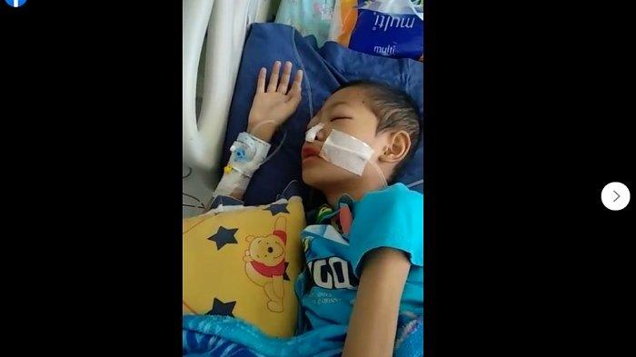 Viral Video Seorang Anak Mengigau, Lantunkan Al Quran Juz 29 saat di Rumah Sakit karena Sakit Keras