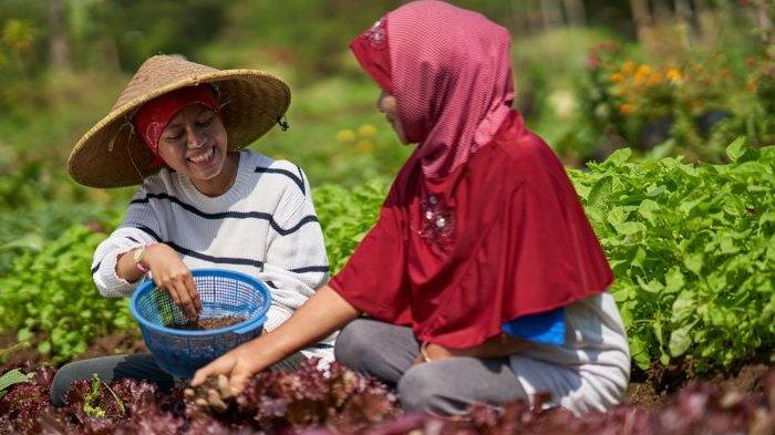SATU Indonesia Awards 2020 Hadirkan Agni Pratistha dan Maya Stolastika