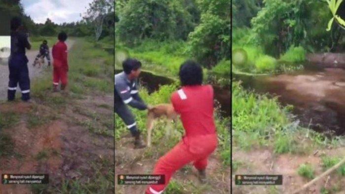 Pertamina Tegas Membantah Pelaku Pelempar Anjing ke Buaya di Nunukan Adalah Pegawainya