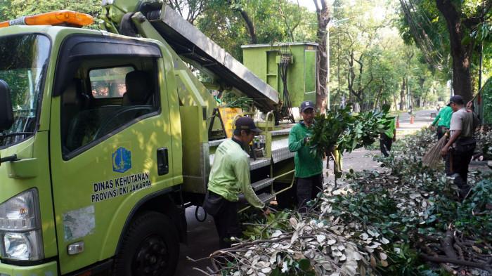 Foto-foto Cegah Pohon Tumbang, Petugas Pangkas Pohon Tua di Jakarta - personel-dikerahkan.jpg
