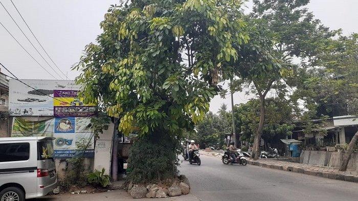 Anwar Hidayat (52), pemilik rumah di tengah jalan di Jalan Maulana Hasanudin, Kecamatan Batuceper, Kota Tangerang menceritakan mengenai surat rumahnya dibawa kabur hingga digadai ke bank oleh oknum tak bertanggung jawab. 