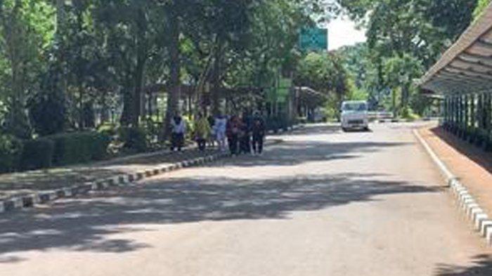 Libur Natal dan Tahun Baru, Taman Margasatwa Ragunan Justru Sepi Pengunjung