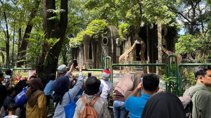 LIBUR NATAL 2025 - Pengunjung melihat fauna yang ada di Taman Margasatwa Ragunan, Pasar Minggu, Jakarta Selatan pada momen libur Natal 2025, Kamis (25/12/2025) (Ramadhan L Q)