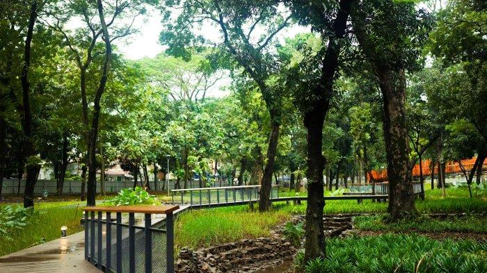 Pembangunan Revitalisasi Taman Tebet Menjadi Tebet Eco Park Segera Rampung Akhir Bulan Ini